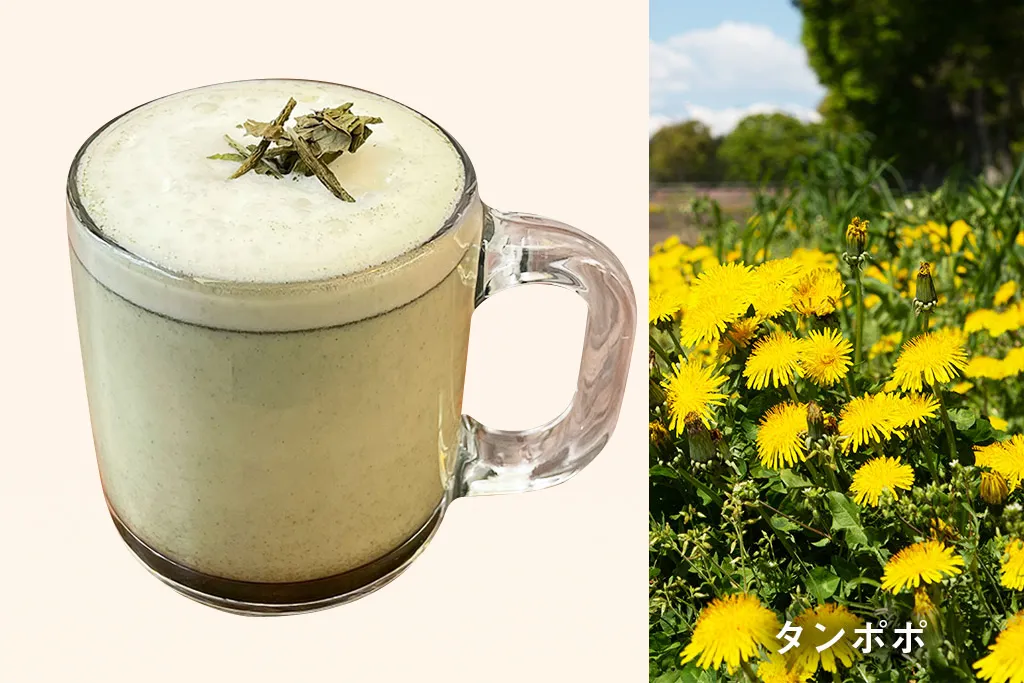 タンポポの野草茶ラテHot